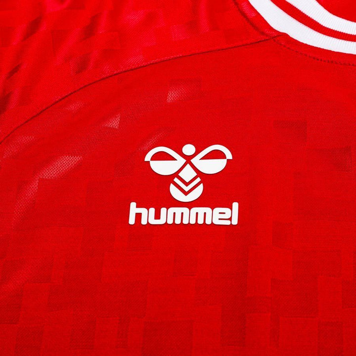 Denmark Home Jersey EURO 2024